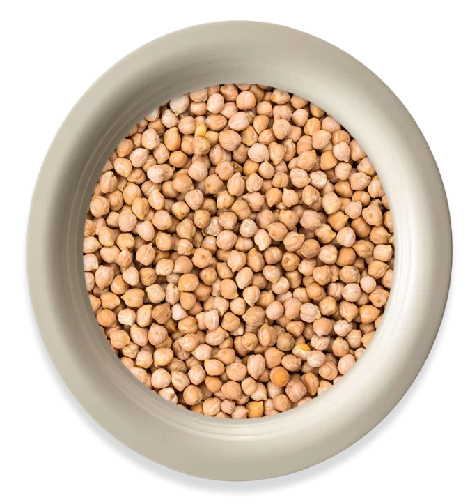 Chickpea